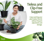 Mini Twigs Plant Support Stakes for Small Plants, Indoor & Outdoor Use, Gardening Supplies, Garden Accessories, Trellis & Ring Alternative - Monstera (Dark Green), 10 Pack, 12" L