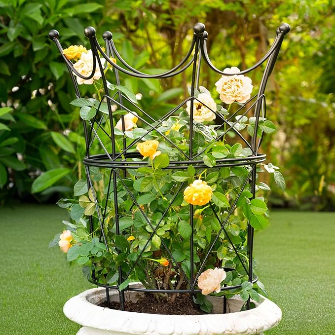 Trellis Obelisk Plant Support, Black Iron, 18.5 x 22.9 Inch