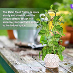 17.5 Inch Indoor Plant Trellis for Climbing Plants,Metal Trellis,Small Garden Trellis for Potted Plants,Plant Stakes for Indoor Plants Accessories Hoya,Flower,Plant Support (Star-Metal)