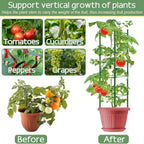 Halatool 2 Pack Tomato Cages for Garden,Up to 48in Adjustable Tomato Cage, Garden Stakes Tomato Trellis for Pots, Tomato Plant Support for Raised Garden Bed & Climbing Vegetables Flowers