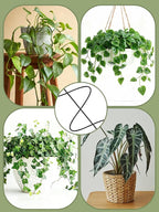 4 Pack Small Wavy Trellis for Potted Plants Indoor, 15 in Garden Trellis for Climbing Plants Outdoor, Single Stick Metal Climber Support Stakes for Vine Ivy Hoya Flower (Black)