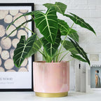 Gepege Pink Indoor Plant Pots for Plants, Large Ceramic Planter with Drainage Hole, 9.6-inch Succulent Orchid Flower Pot - Rainbow Pearl Glaze