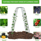 Lalahoni Cucumber Trellis, 65" X 65" Metal Garden Arch Trellis Climbing Plant Outdoor Support for Vine Fruits Flowers Vegetables Peas Beans Squash Cucumber Tomato Raised Bed, with Netting, Lightweight