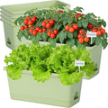 Window Box Planter 6 Packs, 13.8 Inches Rectangle Flower Pots with Drainage Holes & Trays, Pots for Vegetables, Herbs, Flowers, Garden Windowsill Balcony (Green)