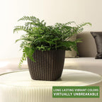 Dexceder 11x10 Self Watering Planter Indoor Outdoor, Inner Mat Design, Thickened Table Flower Plant Pot with Water Level Indicator (Brown Rattan)