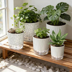 Self Watering Pots for Indoor Plants, 4/5.5/6.3 Inch Plant Pots Indoor Outdoor with Drainage Holes, Deep Reservoir, Plastic Self Watering Flower Pots