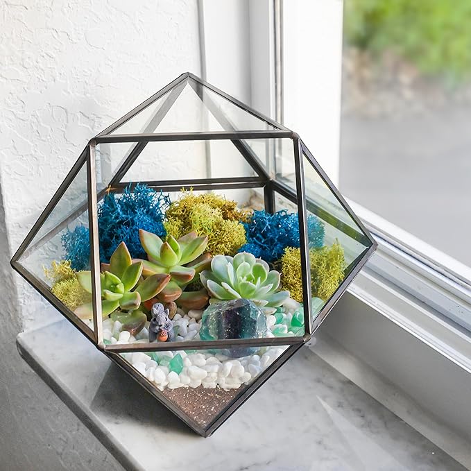 Terrarium Kit, 7-Inch Dodecahedron Glass Container with Moss and Crystals
