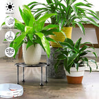 Garden Gifts Plant Lovers Gifts Black Metal Plant Stand with Anti-Slip Base Rustproof Heavy Duty Decorative Round Flower Stand Display Shelf for Indoor/Outdoor
