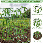 Cucumber Trellis for Raised Bed, Garden Arch Trellis for Climbing Plants Outdoor, Metal Garden Trellis for Spring Vegetables, Cucumber Trellis for Tomato, Bean, Pea, Grape, Plant