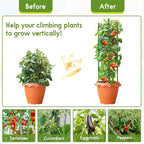 Riare 8 Pack 4 FT Tomato Cages for Garden- 48inches Heavy Duty Garden Stakes, Adjustable Tall Tomato Plant Support Tomato Trellis Cage for Pots, Raised Garden Bed, Climbing Vegetables Plants Flowers