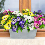 Pansies Artificial Flowers for Outdoors UV Resistant 12 Bundles Silk Pansy Plastic Fake Plants Flowers for Home Outside Garden Window Box Patio Planter Porch Decor (Mixed Color1)