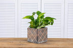 Wood Planter Box with Diamond Cross Hatch Style, 5 Inch Square, Rustic Barn Wood, Plastic Liner, Wedding Flowers Holder, Home and Venue Decor (5x5 Diamond Cross Hatch Set of 4, Natural)