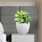 12 inch Large Self Watering Pots, Planter, Plant Pots with Multi Mesh Drainage Holes for Indoor Outdoor House Plants and Garden, Plastic Flower Pots with Deep Reservoir, Speckled White