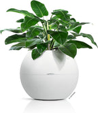 Lechuza Puro Color 50 White, Self-Watering Large Round Planter, D19.7 H15.4 in