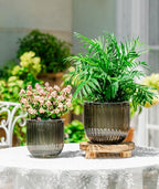 Melphoe Self Watering Pots for Indoor Plants Planter, 6.5/5.3 Inch 2 Pack Planters Self Watering Plant Pots for Flower, Houseplants, Succulent, African Violets and Cactus with Drainage