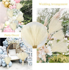 Artificial Pampas Grass Greenery Stems, 50 Pack, 21.6 Inch, Beige