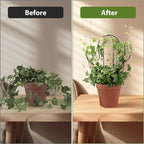 2 Pack Plant Trellis Indoor, 11.4" W x 13" H Small Trellis for Potted Plants, Decorative Trellis for Climbing Plants Indoor, Ideal for Vines on Tabletops, Balconies, Gardens and Lawns, Cactus-Shaped