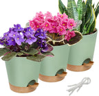 Aulock 6in Self Watering Pots for Indoor Plants - 3pcs Bottom Watering African Violet Planters with Drainage, Plastic Houseplant Flower Pots for Snake Plant Succulent Garden Live Plants