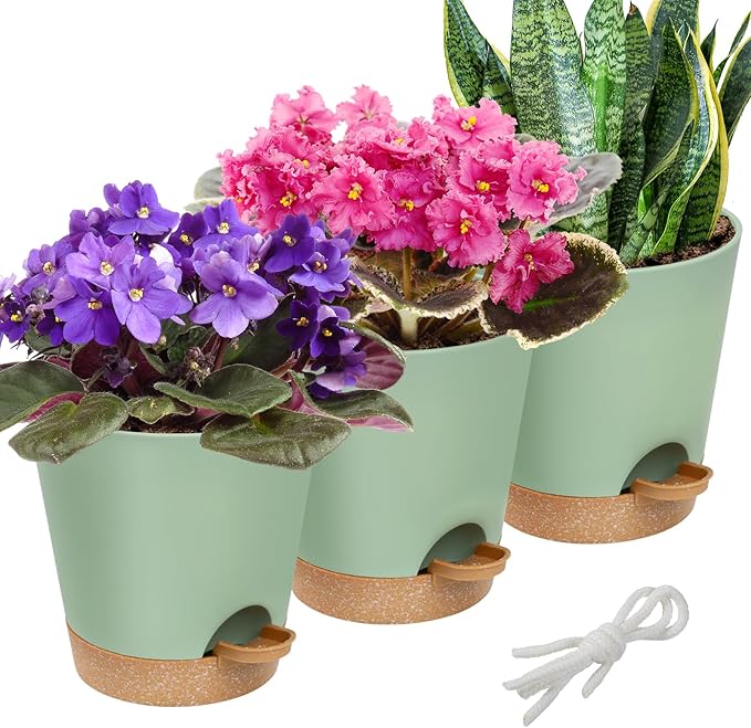 Aulock 6in Self Watering Pots for Indoor Plants - 3pcs Bottom Watering African Violet Planters with Drainage, Plastic Houseplant Flower Pots for Snake Plant Succulent Garden Live Plants