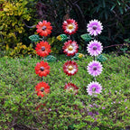 Set of 3 Solar Garden Lights,22.6'' H Flowers Decorative Garden Stakes,Waterproof Metal Spring Yard Art Decor,Solar Stake Lights for Outside,Lawn,Yard,Patio