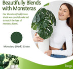 Stackable Monstera Plant Support Stakes, Climbing Support for Indoor & Outdoor Use, Plant Accessories, Aesthetic Alternative to Moss Poles & Trellises – Monstera Green, 5 Pack, 17" L