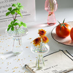 Terrarium Propagation Station Set of 6, Clear Glass Mushroom Vases