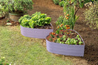 Plant & Plot Galvanized Raised Garden Beds Outdoor // Planter Raised Beds for Gardening, Vegetables, Flowers // Large Metal Garden Box (Lavender) // Tool-Free Assembly