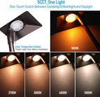 LEONLITE 12 Pack 5CCT Low Voltage Landscape Lights, 5W Anti-Glare LED Pathway Lights, Aluminum Housing, IP65 Waterproof for Outdoor Path Sidewalk Walkway Yard, 1800K/2700K/3000K/4000K/5000K, ETL