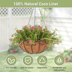 2 Pack 14 inch Metal Hanging Baskets for Plants Outdoor, Hanging Planters Basket with Coco Liners, Hanging Baskets Flower Pots for Garden, Patio, Deck, Porch Plants