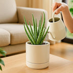 Planters Set of 4 Small Round Ceramic Pots in Oatmeal with Saucers