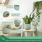 montresor 5 Pack Green 5/5.5/6/6.5/7 Inch Self Watering Planters for Outdoor, Plastic Plant Pots with Wick & Drainage, Small to Medium Indoor Pots for Snake Plant, Aloe