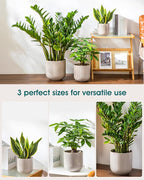 vancasso 6+8+10 inches Ceramic Plant Pots, Set of 3, Planters with Drainage Hole, Flower Pots Planters Pots for Indoor Plants, Modern Indoor Decorative Garden Pot, Home Decor, Gray