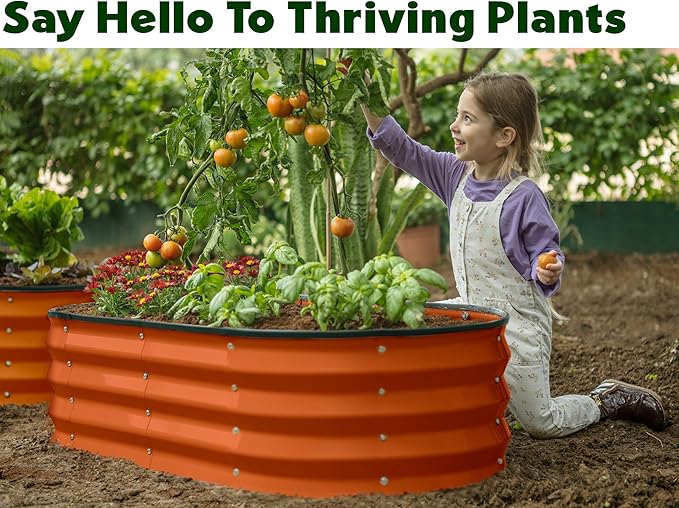 Plant & Plot Galvanized Raised Garden Beds Outdoor // 4×2×1 ft Planter Raised Beds for Gardening, Vegetables, Flowers (Orange) // Large Metal Garden Box