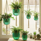 6 Pack Self Watering Hanging Planters Indoor Flower Pots(4.5"+6.5") Visible Water Level Markers 3 Hanging Ropes with Drainage Holes for Indoor Outdoor Garden Home Decor Supplies(Emerald)