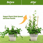 Avalution 10 Pack Bamboo Trellis for Climbing Plants 16" Natural Garden Ladder Trellis, Fan -Shaped Plant Support Trellis for Potted Plant Decor