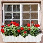 6 Packs 27 Inch Window Flower Box Extra Large Window Sill Herb Garden Long Rectangle Planter Plastic Boxes Outdoor with Drainage Trays for Balcony Windowsill Patio Garden