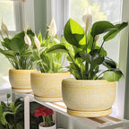 SQOWL Ceramic Flower Pots - 8 inch Plant Pot Indoor with Drainage Hole and Saucer, Modern Ceramic Planter Outdoor, Round Decorative Planter, Living Room Home Decor, Gifts for Plant Lovers, Yellow