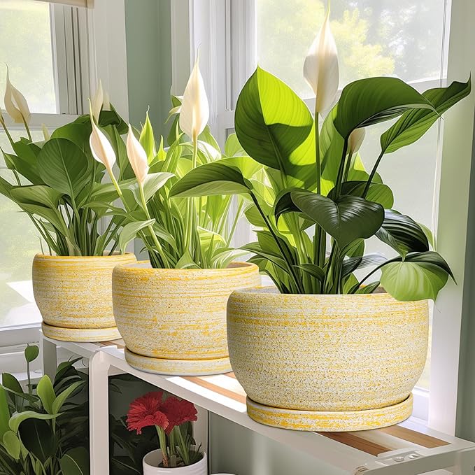 SQOWL Ceramic Flower Pots - 8 inch Plant Pot Indoor with Drainage Hole and Saucer, Modern Ceramic Planter Outdoor, Round Decorative Planter, Living Room Home Decor, Gifts for Plant Lovers, Yellow