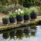 montresor 5-Pack Self-Watering Plastic Plant Pots 5/5.5/6/6.5/7 Inch– Black Indoor Flower Pots with Wick & Water Tray for Herbs, Succulents, Seedlings, Small Plants