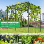 DoCred Tall Garden Arch Trellis for Climbing Plants, 79 Inch Tall Metal Plant Support Trellis Archway for Climbing Vine Vegetable/Fruit/Flower Outdoor Yard Lawn Garden Arch Tunnel Trellis