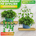 60Pcs Plant Climbing Wall Fixture Clips with 72Pcs Self-Adhesive Stickers - Leaf-Shaped and Weather-Resistant Money Plant Vine Wall Clips - Easy Installation Pothos Climbing Support for Vines & Cables