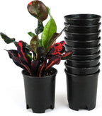 Wholesale Bulk Nursery Pot 4 Inch Black Plastic Planters 30-Pack 0.25 Gallon Pots for Outdoor Indoor Plants Gardening Flower with Drainage Holes