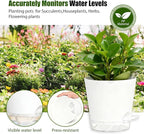 Plant Pots 6 Inch Self Watering Pots,6 Pack Plastic Planters with Drainage Holes and Clear Saucers,Plastic Flower Pots,Nursery Planting Pot for Indoor Out Door Plants (White)