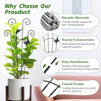 4 Pack 30 InchTaller Plant Trellis for Potted Climbing Plants Indoor,Expandable Metal Garden Trellis for Climbing Plants, Flowers Vine Ivy, Sturdy Houseplant Support for Potted Plants with Ties