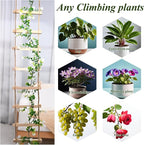 2PCS Chain Trellis for Climbing Plants - Natural Wood Indoor Plant Support, Durable 6.5 Inch by 4 Feet Design, Perfect for Pothos, Ivy, and Vines with Easy Installation Hook