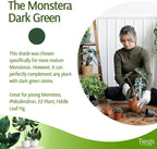 Mini Twigs Plant Support Stakes for Small Plants, Indoor & Outdoor Use, Gardening Supplies, Garden Accessories, Trellis & Ring Alternative - Monstera (Dark Green), 10 Pack, 12" L