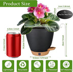 6 Inch Self Watering Pots for Indoor Plants (5-Pack) – Small Plastic Planters with Water Window, Drainage Holes & Trays, Indoor Outdoor Flower Pots for Herbs, Succulents, Home Garden Decor (Black)