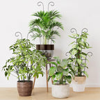 Larger 23.6in Taller Plant Trellis for Climbing Plants Indoor, 4 Pack Metal Garden Trellis for Potted Plants, Rustproof, Larger, Sturdy Climbing Plant Support for Indoor & Outdoor Houseplants