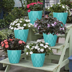 6 Pack 7 Inch Indoor Plant Pots with Drainage Holes, Outdoor Plastic Decorative Flower Pots, Garden Planters with Tray Saucers for Orchids, Violets, Succulents, Herbs, and Other Plants