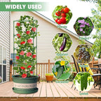 MQUPIN Tomato Cages,3 Packs Square Tomato Cage for Garden Plant Support,41 * 15 * 15in Heavy Duty Steel Plant Tower Stakes Trellis for Climbing Vegetables Flowers Fruits